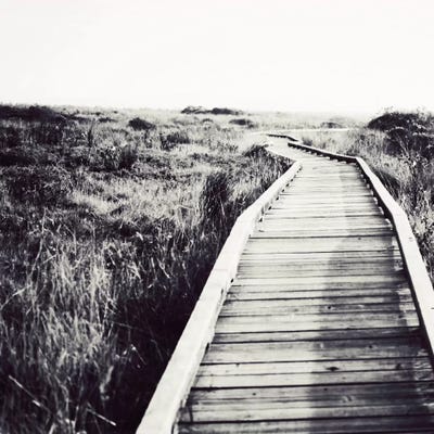 Begin by Lupen Grainne canvas print