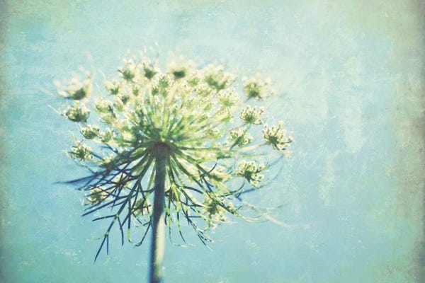 Lupen Grainne: True Blue by Lupen Grainne