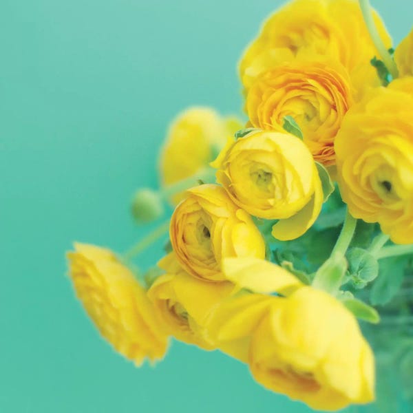 Still Life Photography: Happy Together  by Lupen Grainne