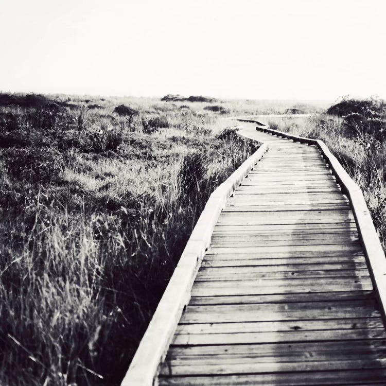 Begin by Lupen Grainne wall art