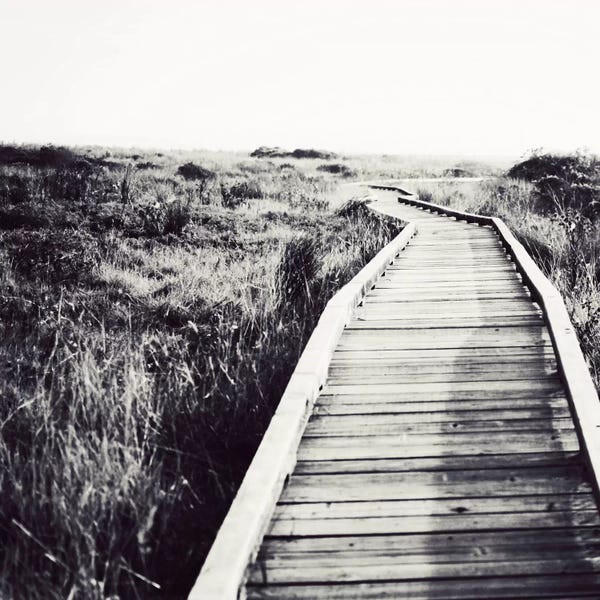 Lupen Grainne: Begin by Lupen Grainne