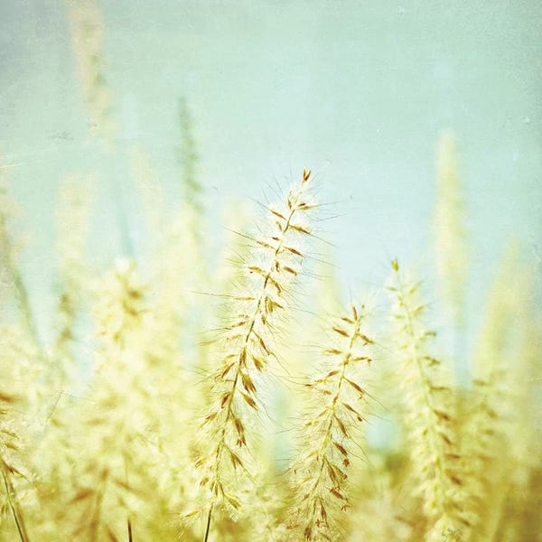 Lupen Grainne: Sway by Lupen Grainne
