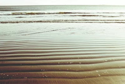 Bronze Beach by Lupen Grainne art print