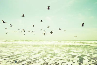 Bright Sunny Day by Lupen Grainne art print