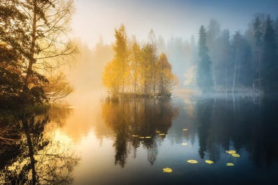 Forest Pond III by Lauri Lohi canvas print