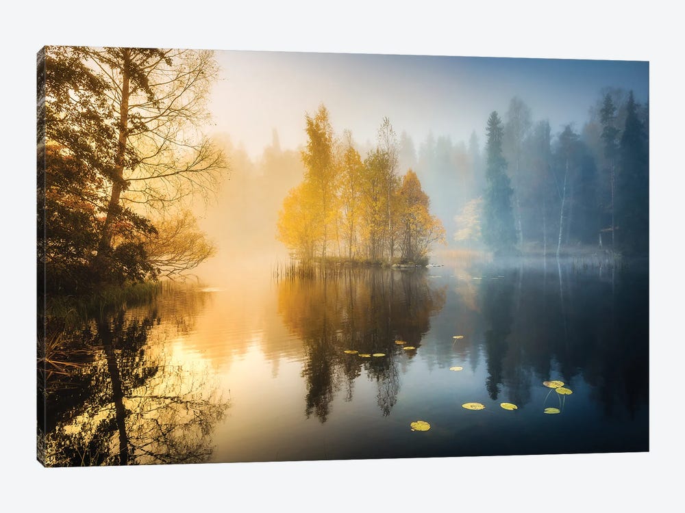 Forest Pond III by Lauri Lohi 1-piece Canvas Wall Art