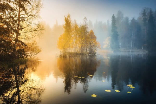 Lauri Lohi: Forest Pond III by Lauri Lohi