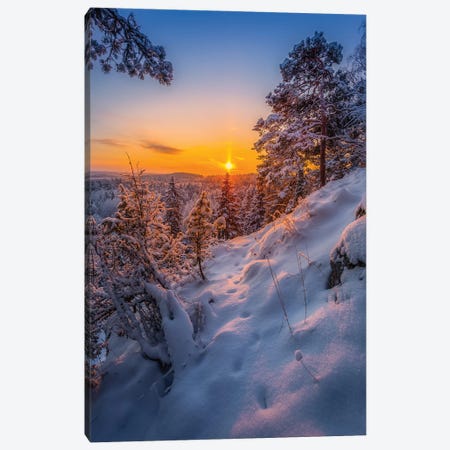 Tracks In The Snow I Canvas Print #LUR103} by Lauri Lohi Art Print