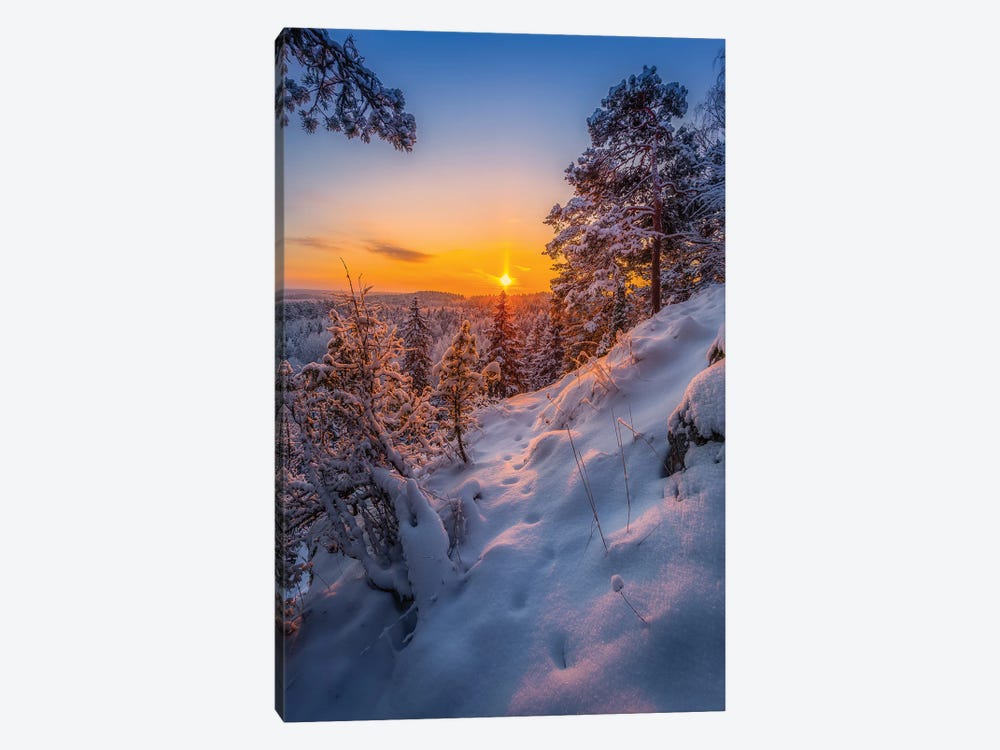 Tracks In The Snow I by Lauri Lohi 1-piece Art Print