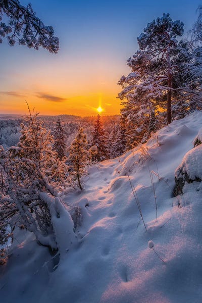 Lauri Lohi: Tracks In The Snow I by Lauri Lohi