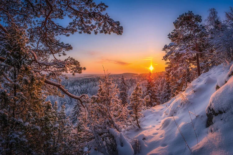 Tracks In The Snow II by Lauri Lohi wall art