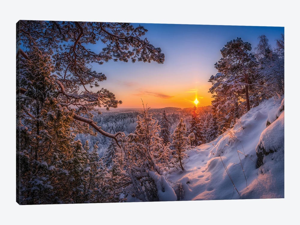 Tracks In The Snow II by Lauri Lohi 1-piece Canvas Artwork