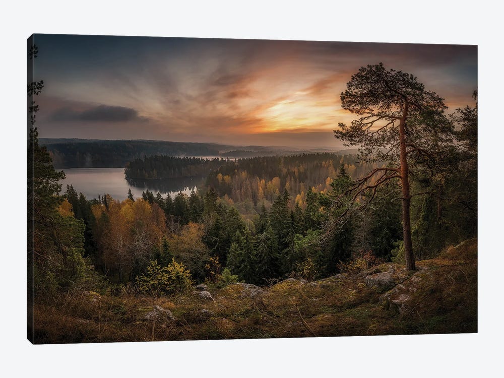 Morning View At Aulanko by Lauri Lohi 1-piece Canvas Artwork