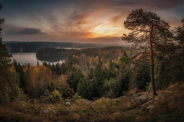 Lauri Lohi: Morning View At Aulanko by Lauri Lohi