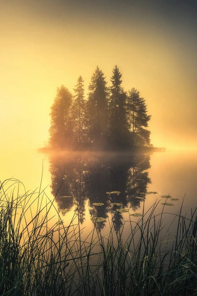 Islands: Mystic Fog by Lauri Lohi