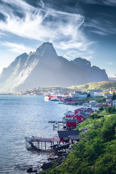 Lauri Lohi: Reine Classic by Lauri Lohi