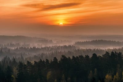 Rising by Lauri Lohi canvas print