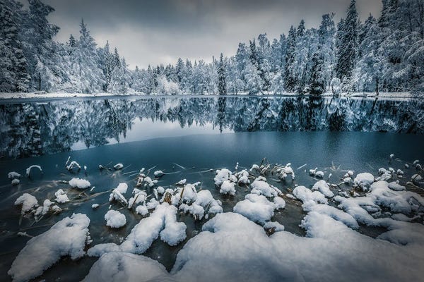 Lauri Lohi: The First Snow by Lauri Lohi
