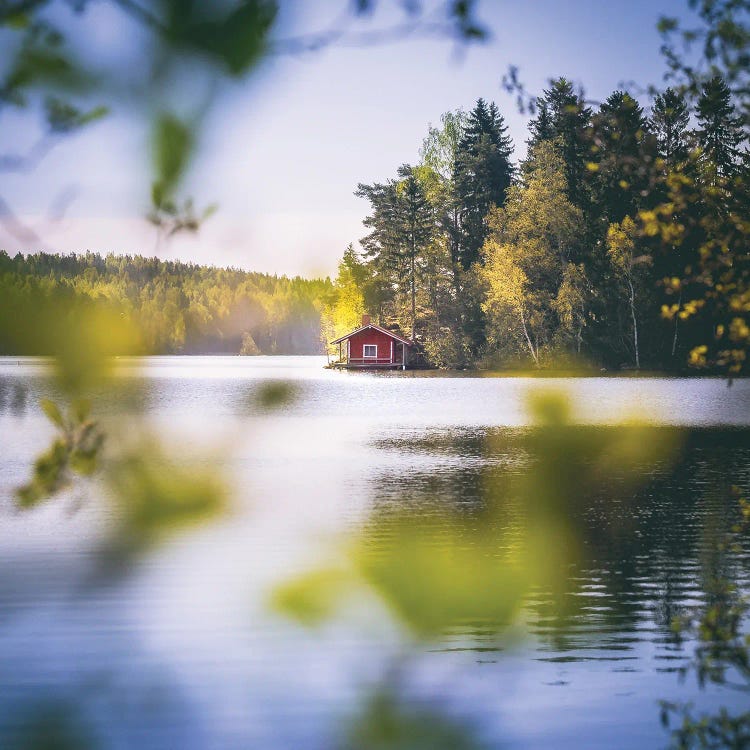 Summer Cottage by Lauri Lohi wall art