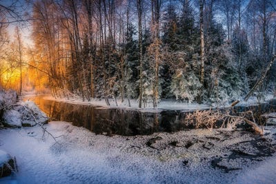 Sunny And Frosty by Lauri Lohi canvas print