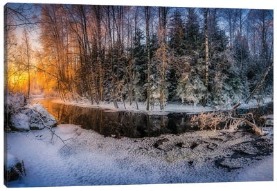 Sunny And Frosty Canvas Art Print - Lauri Lohi