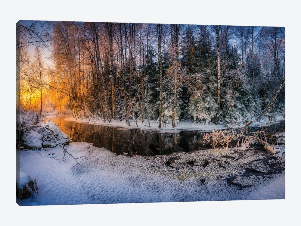 Sunny And Frosty by Lauri Lohi 1-piece Canvas Artwork