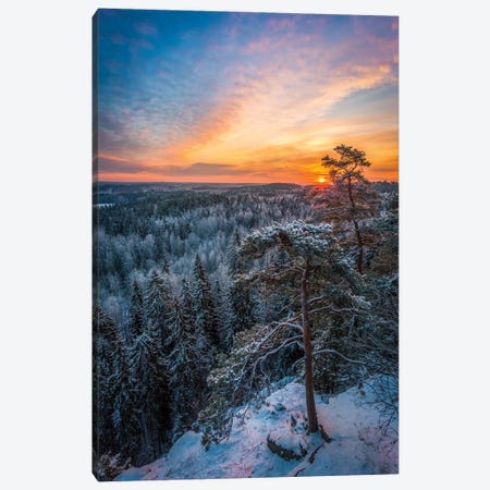 First Light Of Winter Canvas Print #LUR120} by Lauri Lohi Canvas Print