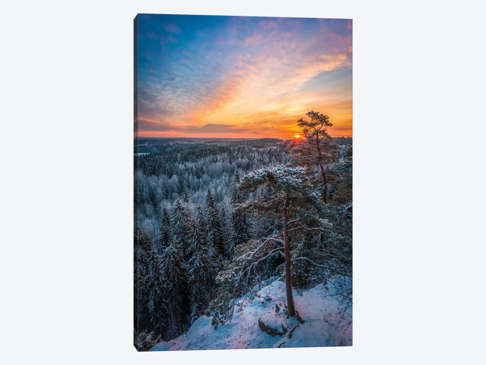 First Light Of Winter by Lauri Lohi 1-piece Canvas Wall Art