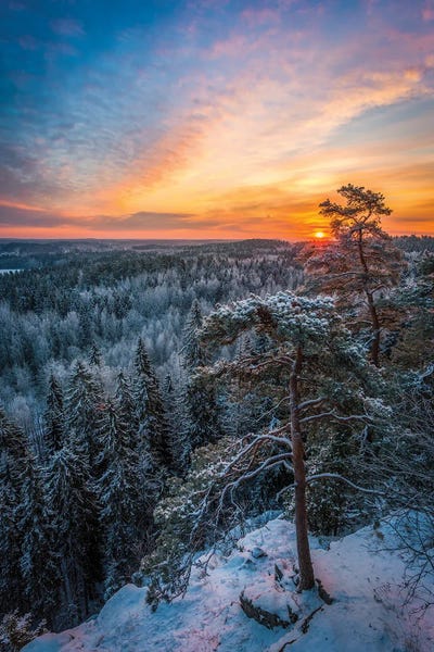 Lauri Lohi: First Light Of Winter by Lauri Lohi