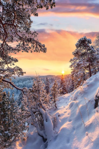 Morning Tracks III by Lauri Lohi canvas print