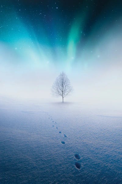Hyperreal Photography: Solitude by Lauri Lohi