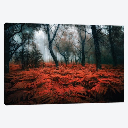 Touch Of Autumn Canvas Print #LUR125} by Lauri Lohi Canvas Wall Art