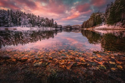 Turning To Winter by Lauri Lohi canvas print