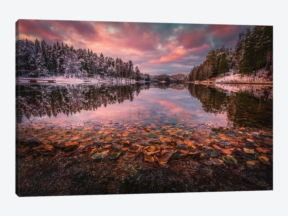 Turning To Winter by Lauri Lohi 1-piece Canvas Artwork