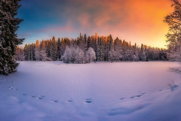 Lauri Lohi: Winter Light by Lauri Lohi
