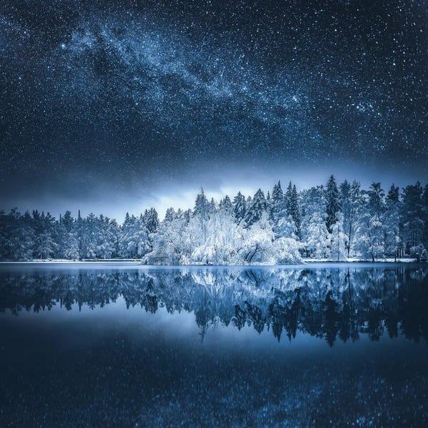 Lauri Lohi: Winterland by Lauri Lohi