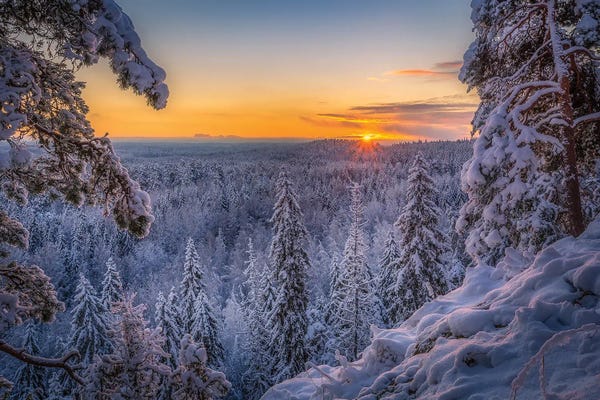 Lauri Lohi: Wintersun Rising by Lauri Lohi