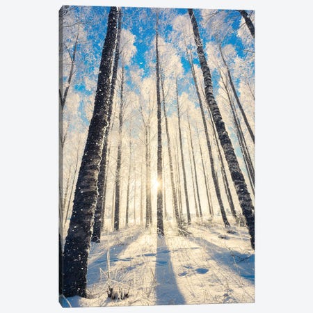 In The Woods Canvas Print #LUR138} by Lauri Lohi Canvas Art