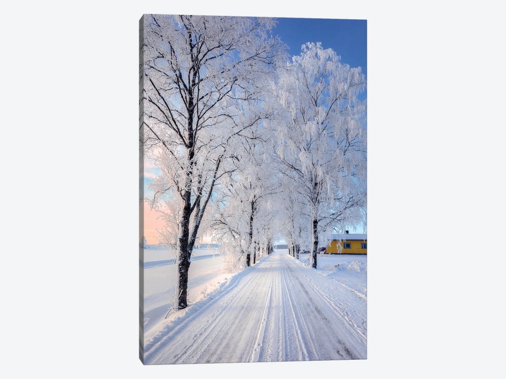 Winter Road II by Lauri Lohi 1-piece Canvas Art