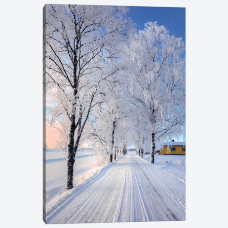 Winter Road II Canvas Print #LUR139} by Lauri Lohi Canvas Wall Art