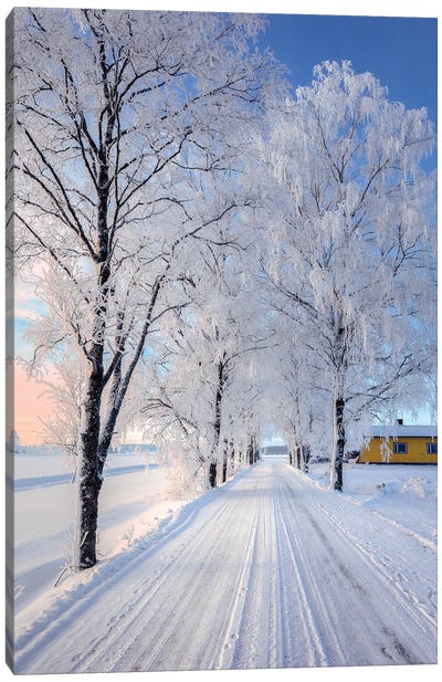 Winter Road II Canvas Art Print - Lauri Lohi