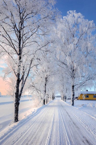 Lauri Lohi: Winter Road II by Lauri Lohi