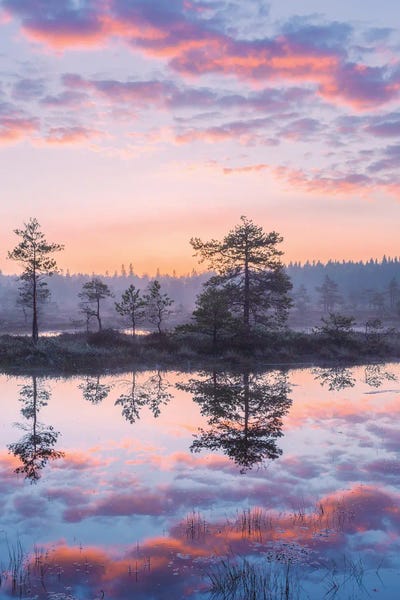 Hyperreal Photography: Summer Pastel by Lauri Lohi