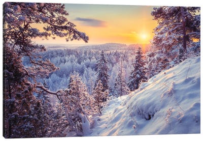 Winter Morning In Finland Canvas Art Print - Finland