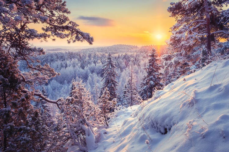 Winter Morning In Finland