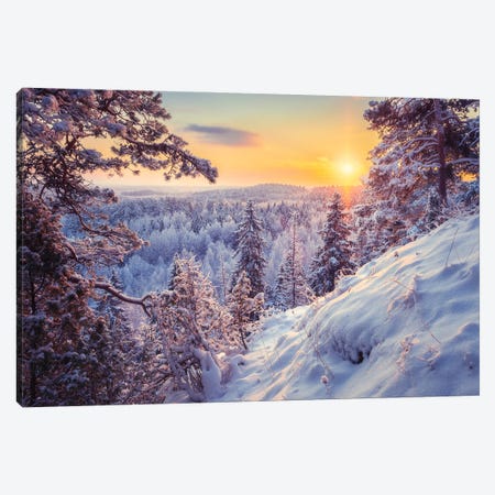 Winter Morning In Finland Canvas Print #LUR145} by Lauri Lohi Canvas Artwork