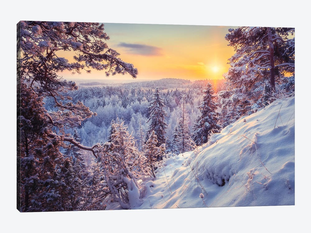 Winter Morning In Finland by Lauri Lohi 1-piece Canvas Print
