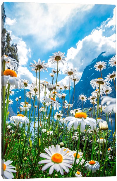 Summer Day In Norway Canvas Art Print - Lauri Lohi