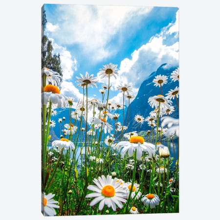 Summer Day In Norway Canvas Print #LUR146} by Lauri Lohi Canvas Artwork