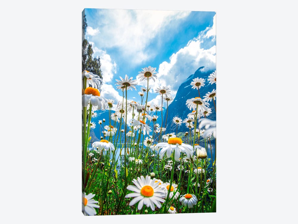 Summer Day In Norway by Lauri Lohi 1-piece Canvas Art
